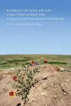 Diversity in Open-Air Site Structure across the Pleistocene/Holocene Boundary cover