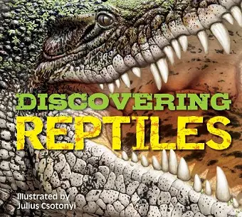 Discovering Reptiles cover