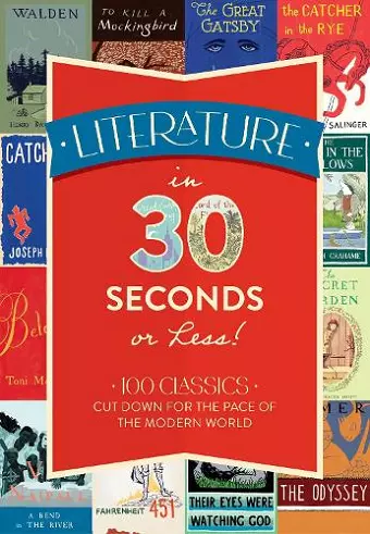 Literature in 30 Seconds or Less! cover