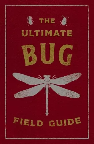 The Ultimate Bug Field Guide cover
