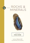 Rocks and   Minerals cover