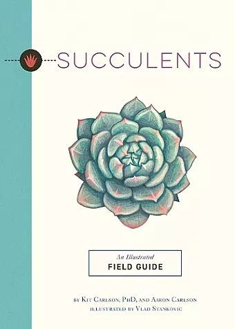 Succulents cover