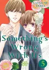 Something's Wrong With Us 5 cover