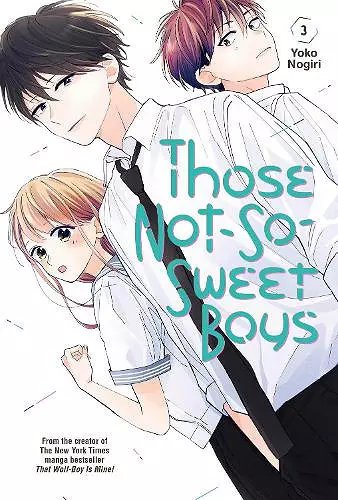 Those Not-So-Sweet Boys 3 cover