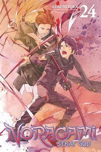 Noragami: Stray God 24 cover