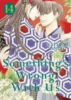 Something's Wrong With Us 14 cover