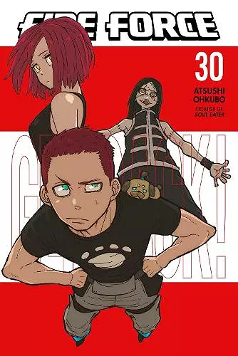 Fire Force 30 cover