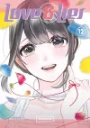 Love and Lies 12: The Misaki Ending cover