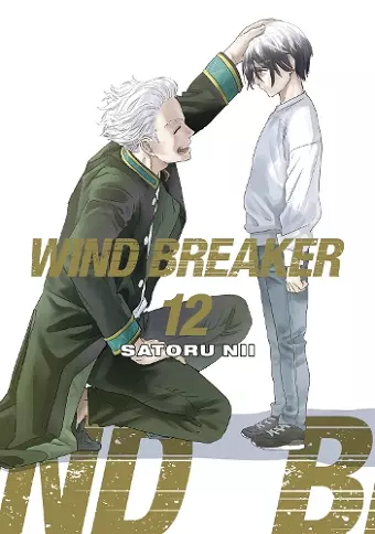WIND BREAKER 12 cover