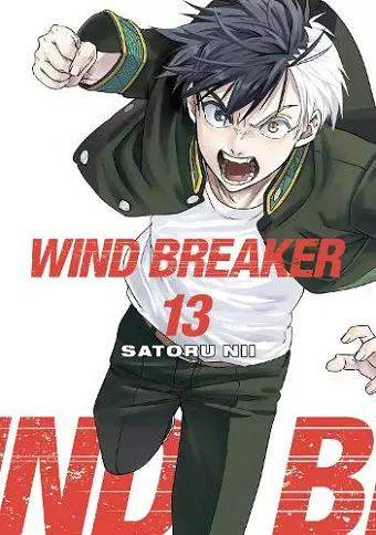 WIND BREAKER 13 cover