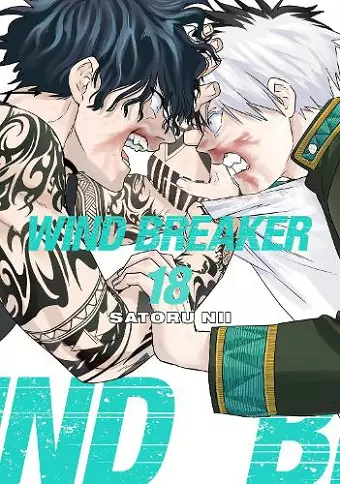 WIND BREAKER 18 cover