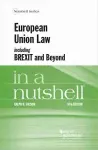 European Union Law, including Brexit and Beyond, in a Nutshell cover