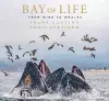 Bay of Life cover