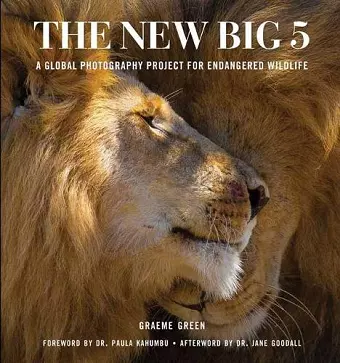 The New Big Five cover