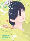 Bakemonogatari (manga), Volume 17 cover