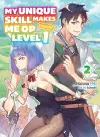 My Unique Skill Makes Me OP even at Level 1 vol 2 (light novel) cover