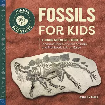 Fossils for Kids cover