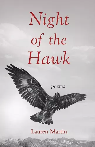 Night of the Hawk cover