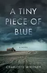 A Tiny Piece of Blue cover