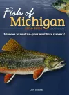 Fish of Michigan Field Guide cover