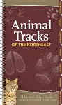 Animal Tracks of the Northeast cover