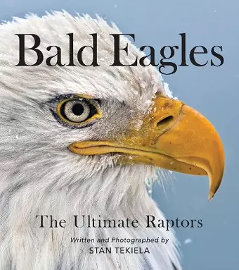 Bald Eagles cover