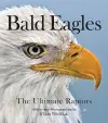 Bald Eagles cover