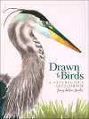 Drawn to Birds cover