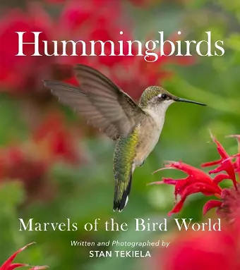 Hummingbirds cover