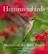 Hummingbirds cover