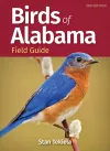 Birds of Alabama Field Guide cover