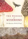 Wonder of Mushrooms cover