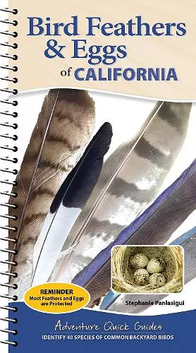 Bird Feathers & Eggs of California cover