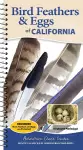 Bird Feathers & Eggs of California cover