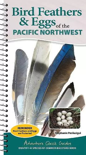 Bird Feathers & Eggs of the Northwest cover