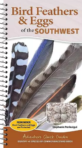 Bird Feathers & Eggs of the Southwest cover