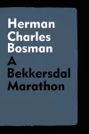 A Bekkersdal Marathon cover