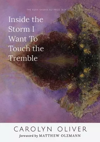 Inside the Storm I Want to Touch the Tremble cover