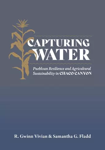 Capturing Water cover