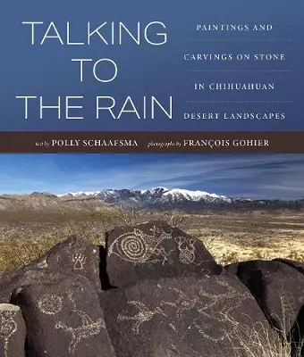 Talking to the Rain cover