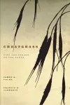 Cheatgrass cover