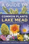 A Guide to Common Plants of Lake Mead National Recreation Area cover