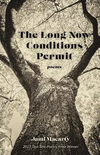 The Long Now Conditions Permit cover