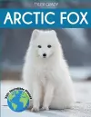 Arctic Fox cover