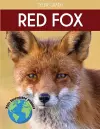 Red Fox cover