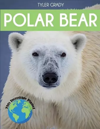 Polar Bear cover