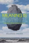 Meaning Is Everywhere cover