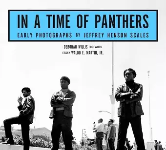 In A Time of Panthers cover