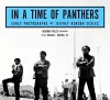 In A Time Of Panthers cover
