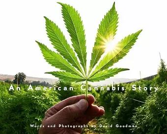 An American Cannabis Story cover